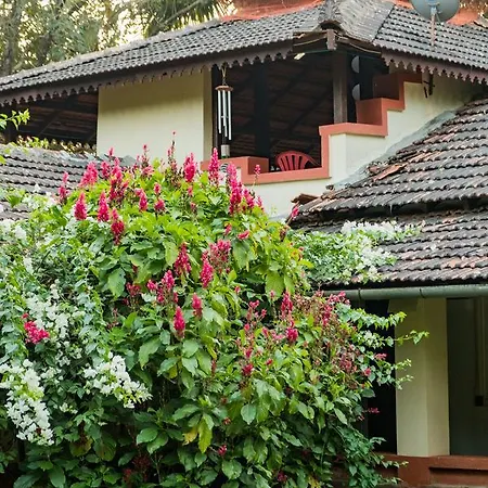 Mangaal Farmstay Goa